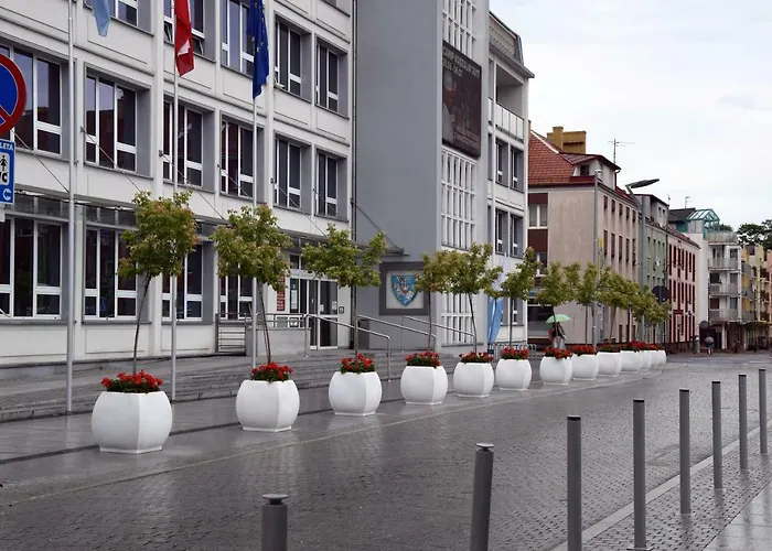 Zawiszy Czarnego 10 *